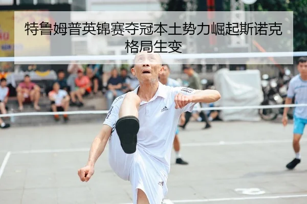 te-lu-mu-pu-ying-jin-sai-duo-guan-ben-tu-shi-li-jue-qi-si-nuo-ke-ge-ju-sheng-bian-2-872.jpg