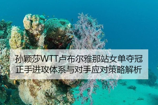 孙颖莎WTT卢布尔雅那站女单夺冠正手进攻体系与对手应对策略解析